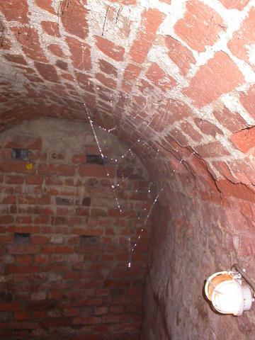 640x480/dscn3530.jpg