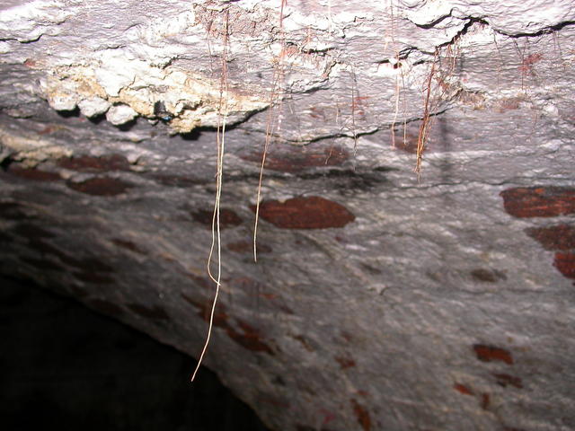 640x480/dscn3538.jpg