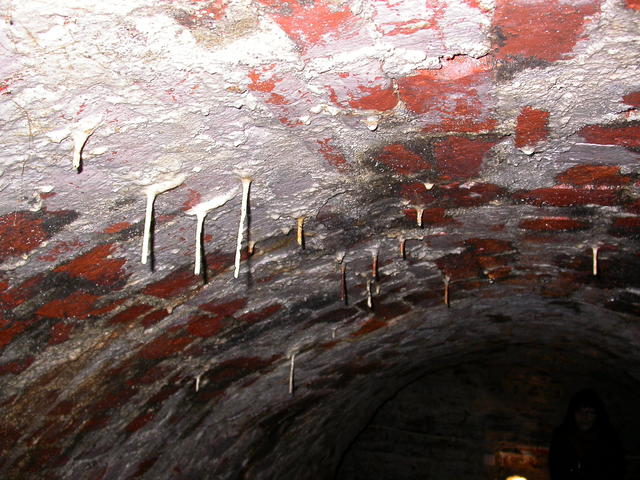 640x480/dscn3539.jpg