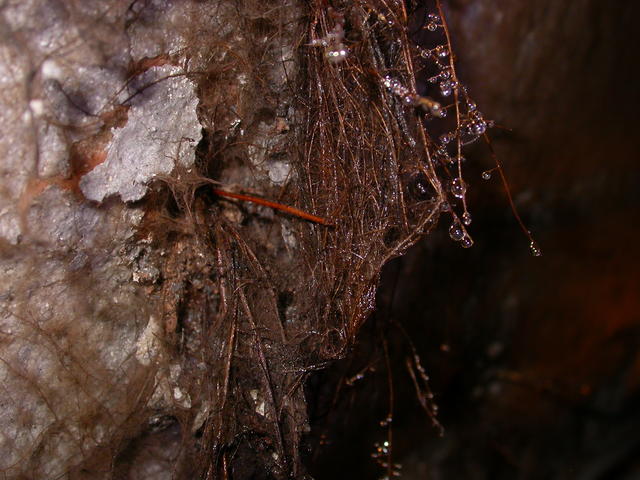 640x480/dscn3542.jpg