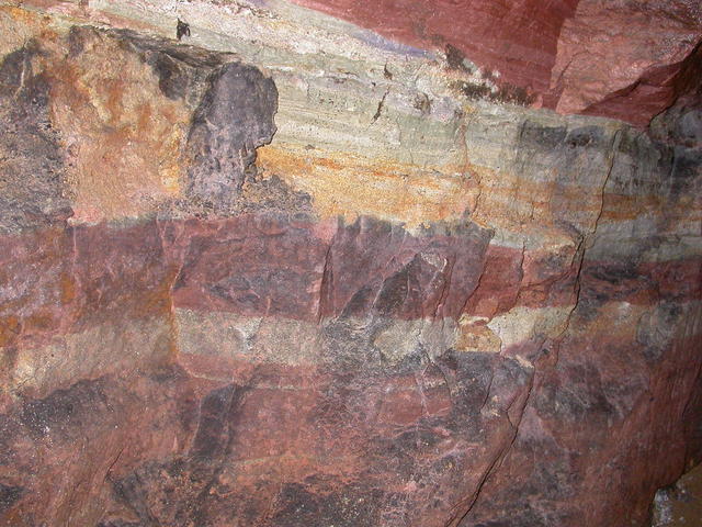 640x480/dscn3547.jpg
