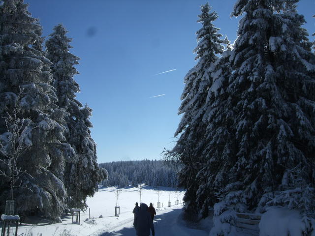 640x480/dscf3775.jpg