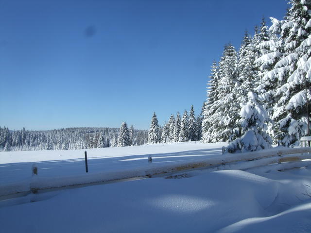 640x480/dscf3776.jpg