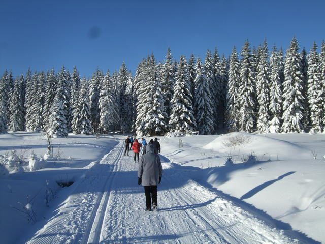640x480/dscf3802.jpg