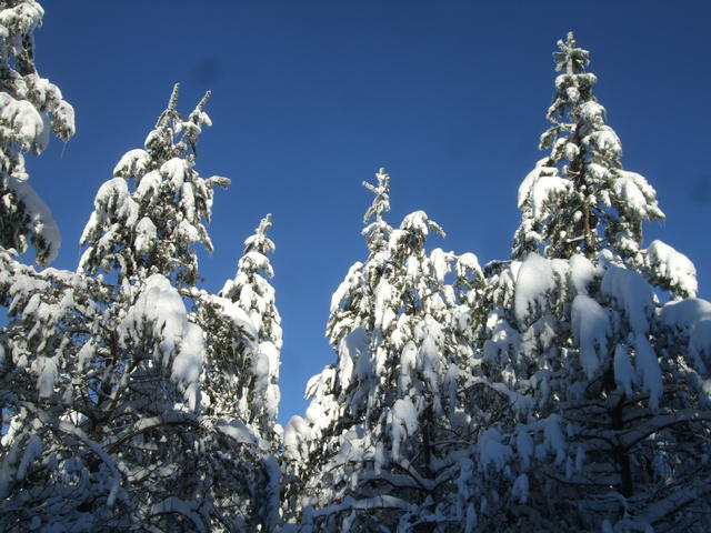 640x480/dscf3805.jpg