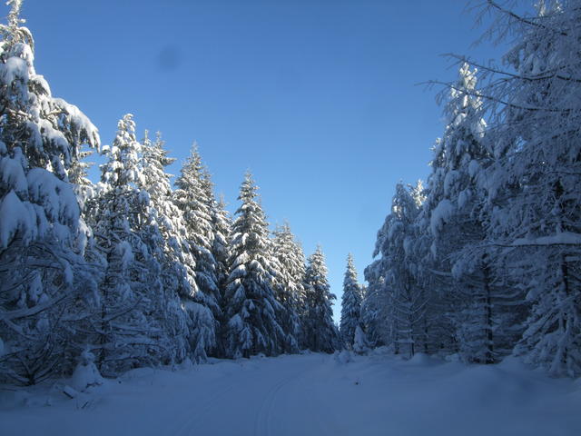 640x480/dscf3806.jpg