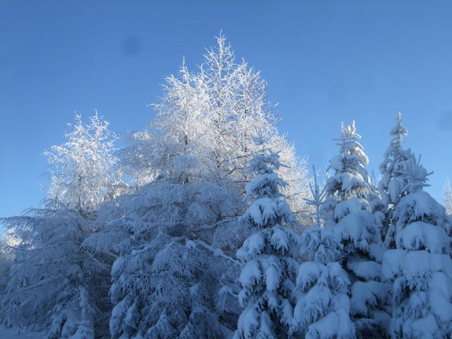 640x480/dscf3807.jpg