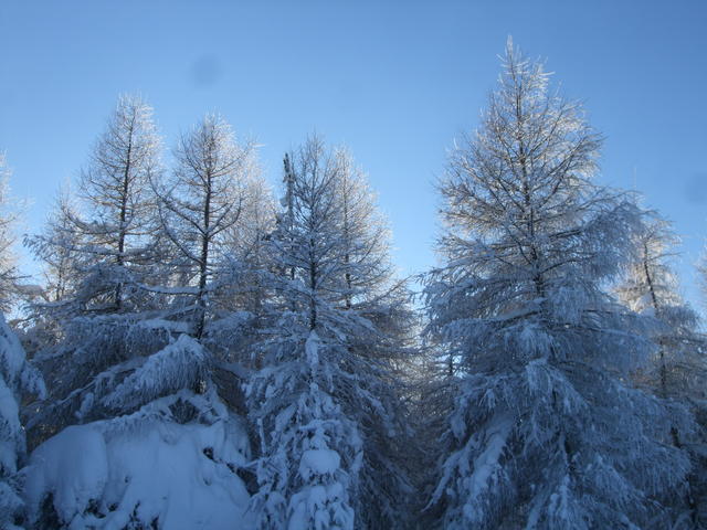640x480/dscf3808.jpg