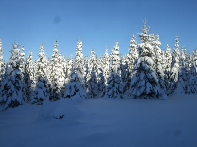 640x480/dscf3811.jpg