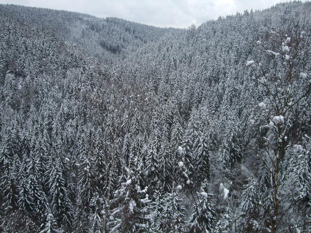 640x480/dscf4108.jpg