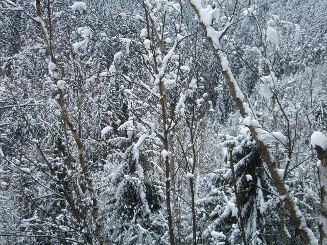 640x480/dscf4114.jpg