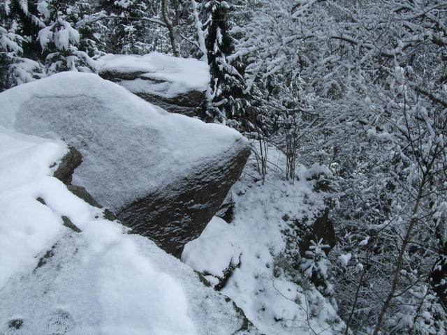 640x480/dscf4115.jpg