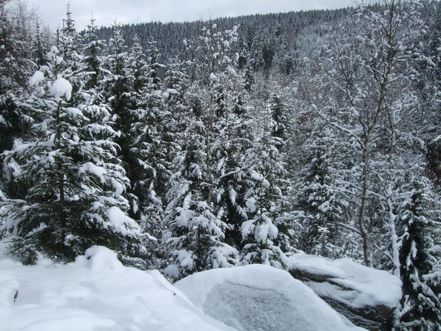640x480/dscf4116.jpg