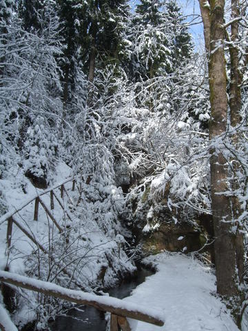 640x480/dscf4120.jpg