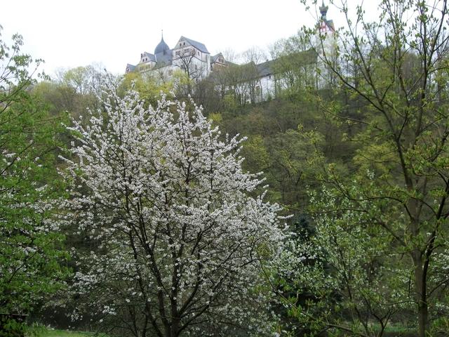 640x480/dscf4237.jpg