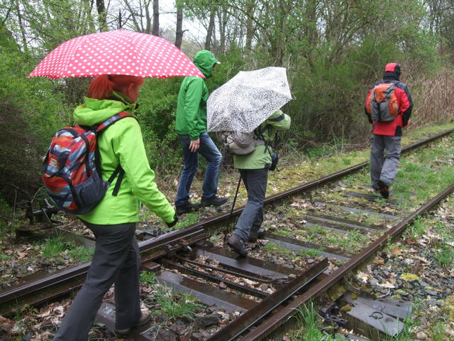 640x480/dscf4248.jpg