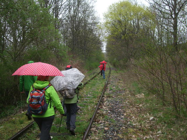 640x480/dscf4249.jpg