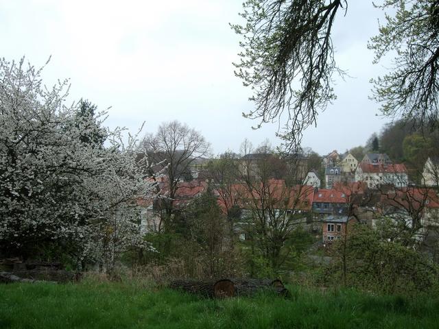 640x480/dscf4252.jpg
