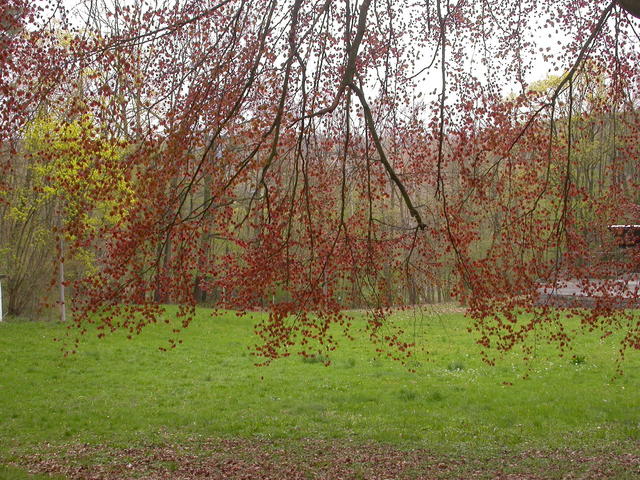 640x480/dscn3625.jpg