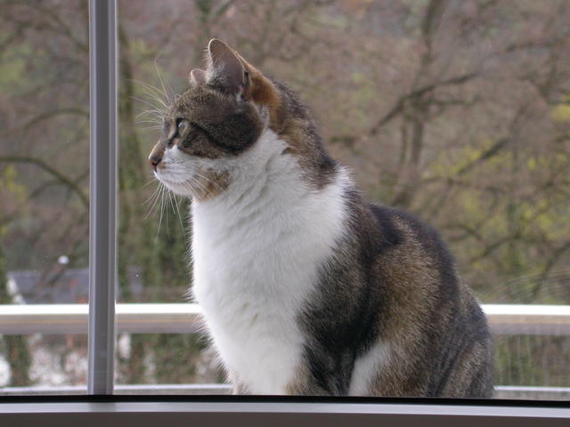 640x480/dscn3635.jpg
