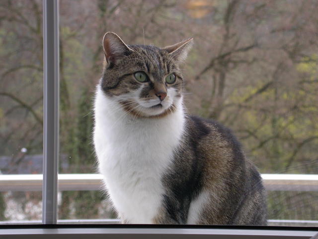 640x480/dscn3636.jpg