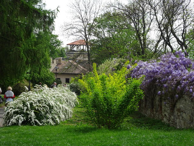 640x480/dsc04120.jpg