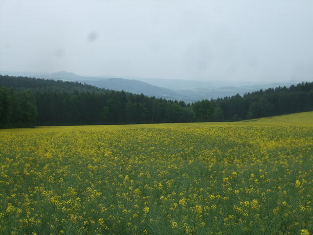 640x480/dscf4951.jpg