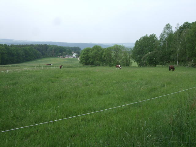 640x480/dscf4957.jpg