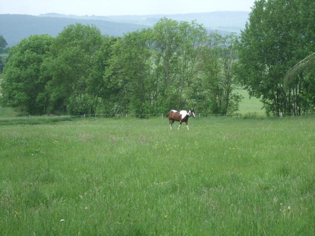 640x480/dscf4958.jpg