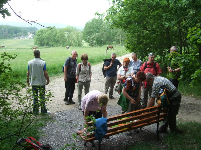 640x480/dscf4961.jpg