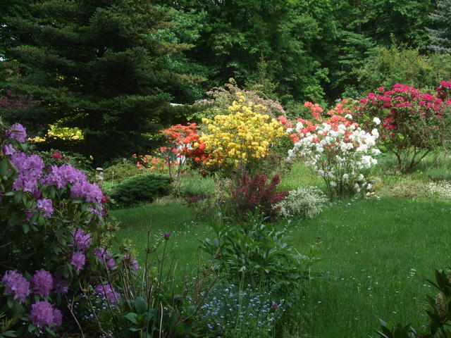 640x480/dscf4976.jpg