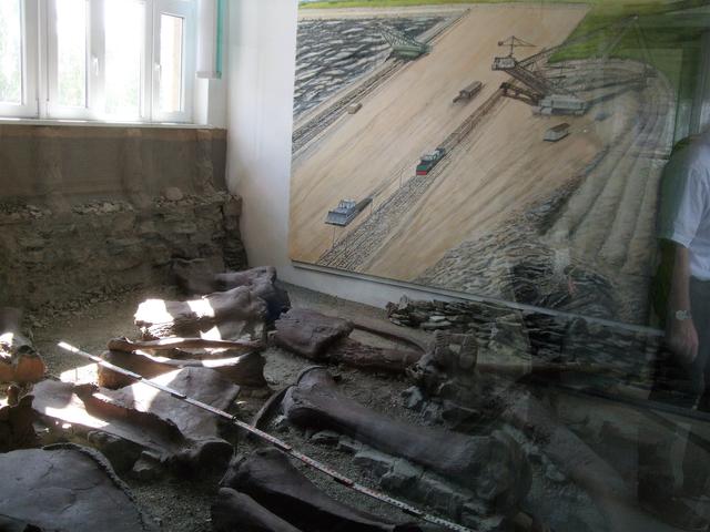 640x480/dscf5159.jpg