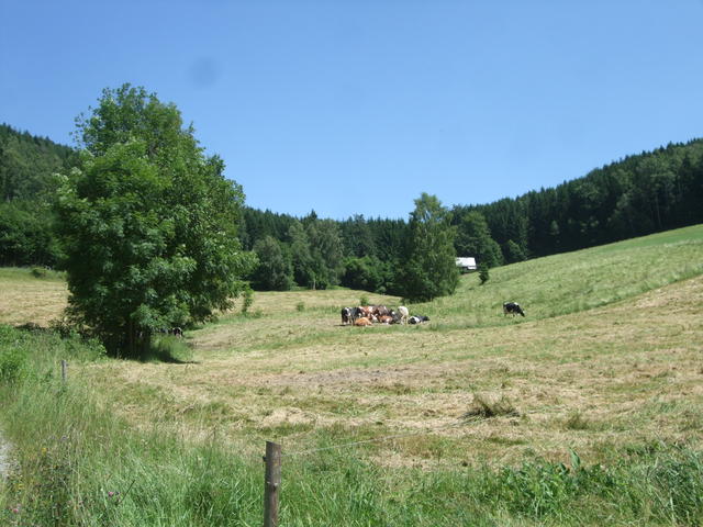 640x480/dscf5248.jpg