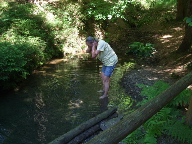 640x480/dscf5251.jpg