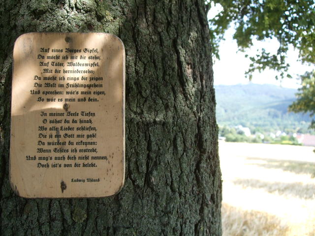 640x480/dscf5419.jpg