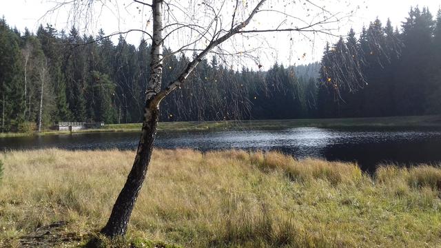 640x480/20161028_110022.jpg