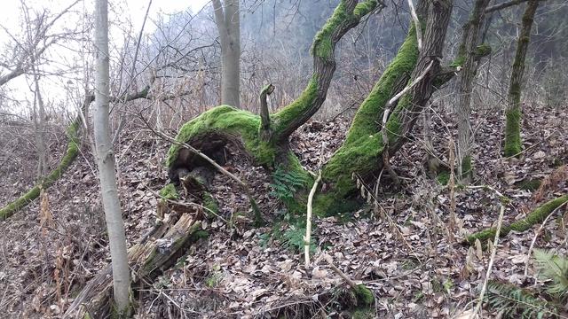 640x480/20161125_111916.jpg