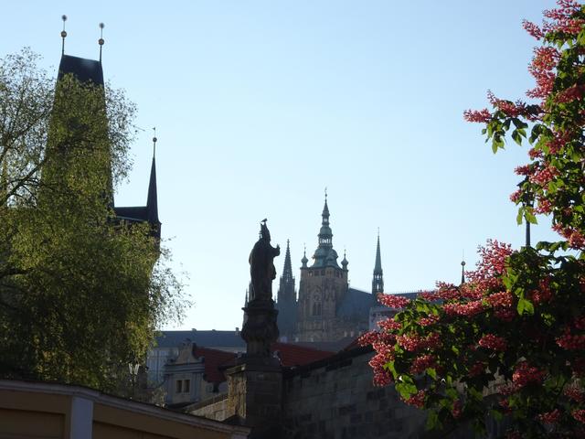 640x480/prag2016_0009.jpg