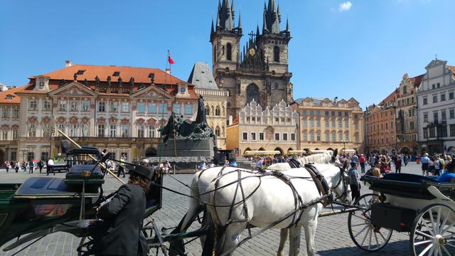 640x480/prag2016_0027.jpg