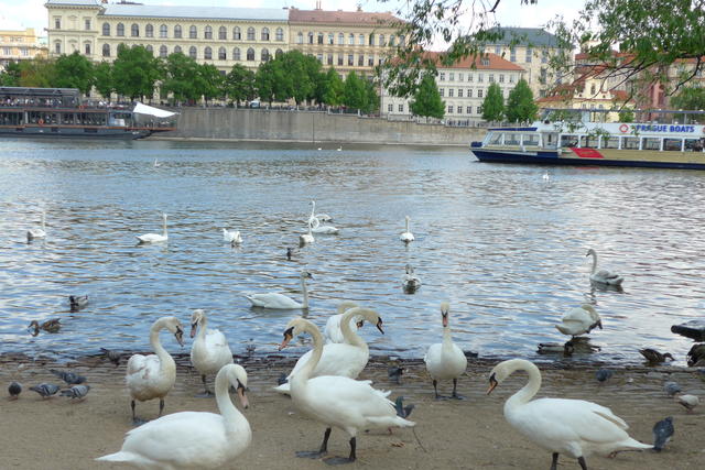 640x480/prag2016_0029.JPG