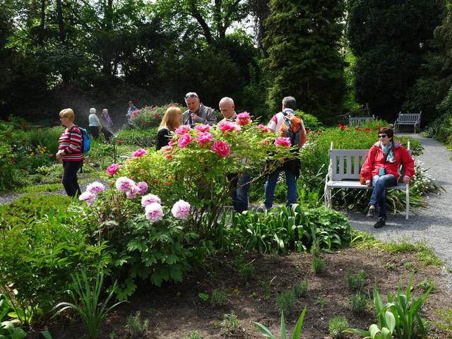 640x480/prag2016_0065.jpg