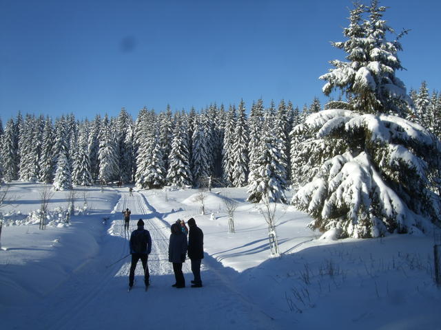 640x480/20160122_0017.JPG