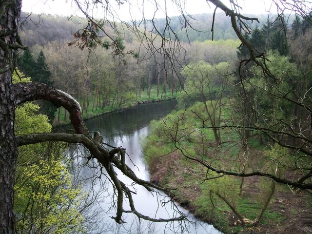 640x480/20160423_0035.JPG