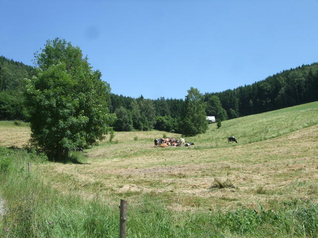 640x480/20160624_0008.JPG