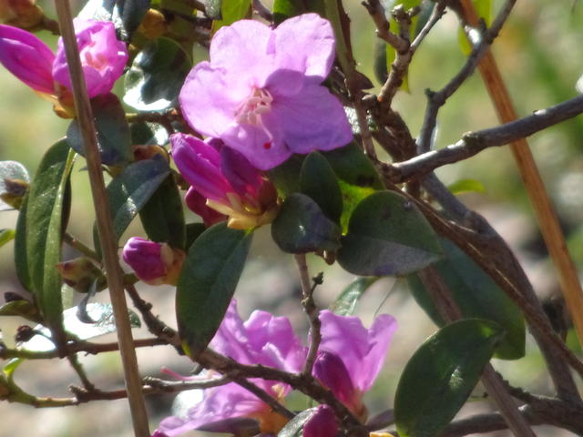 640x480/dsc08726.jpg