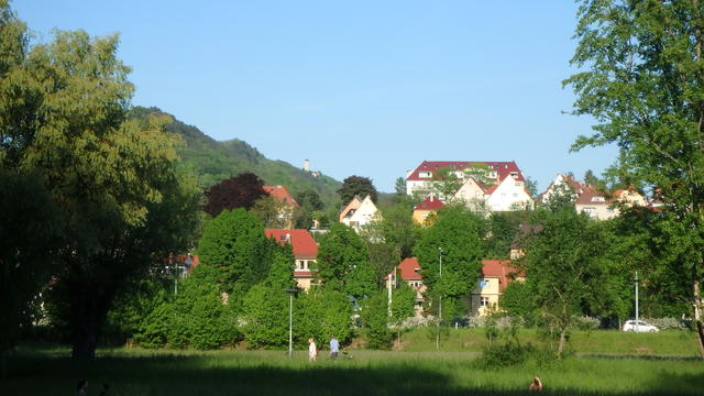 640x480/P5172732.JPG