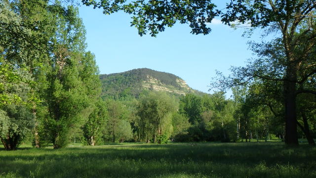 640x480/P5172734.JPG