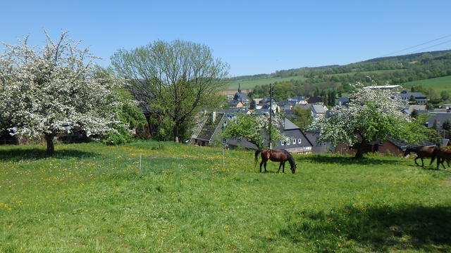 640x480/P5192746.JPG