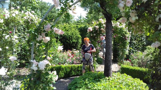640x480/20170618_125505.jpg