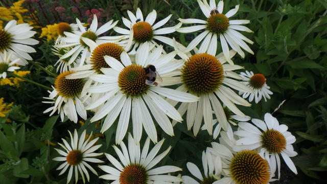 640x480/p7283240.jpg